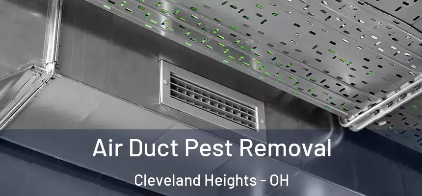 Air Duct Pest Removal Cleveland Heights - OH