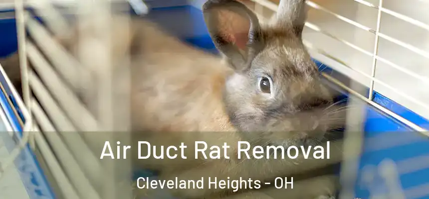 Air Duct Rat Removal Cleveland Heights - OH