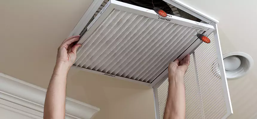Preventive Cockroach-Proofing for Ducts in Cleveland Heights
