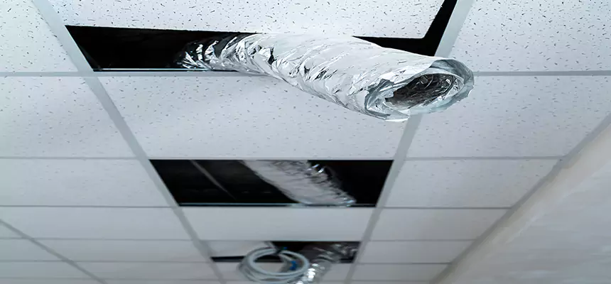 Affordable HVAC Sanitizing After Pest Removal in Cleveland Heights