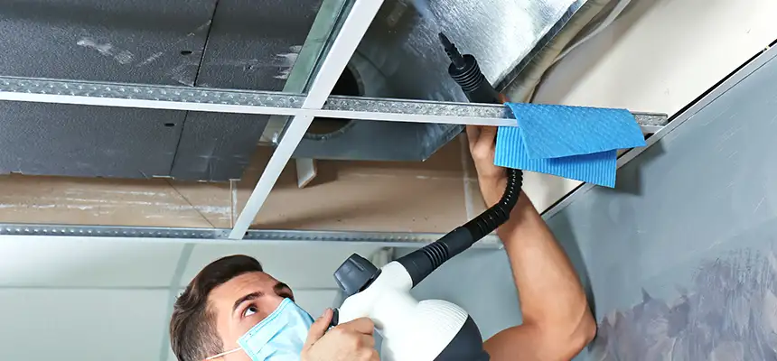 Our Air Duct Rodent Removal Services in Cleveland Heights, OH