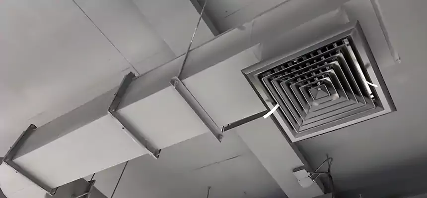 Our Pest Removal From Ducts Services in Cleveland Heights, OH