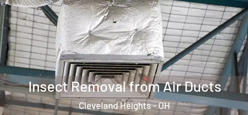  Insect Removal from Air Ducts Cleveland Heights - OH