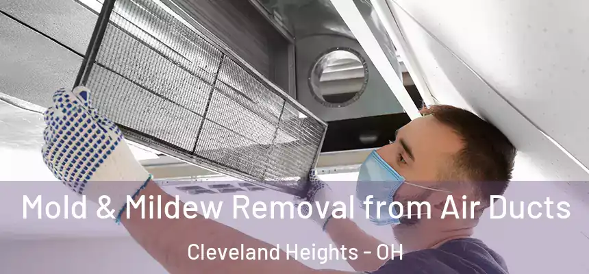 Mold & Mildew Removal from Air Ducts Cleveland Heights - OH