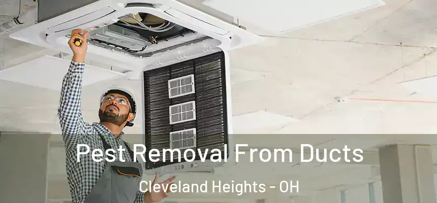 Pest Removal From Ducts Cleveland Heights - OH