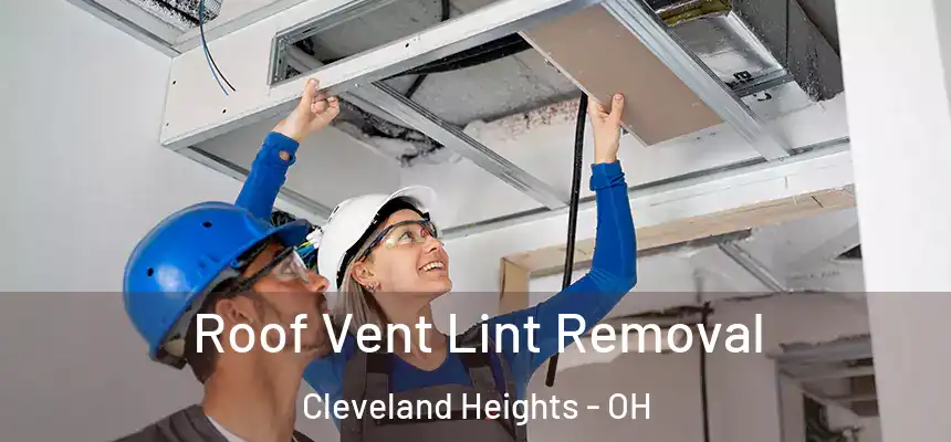 Roof Vent Lint Removal Cleveland Heights - OH