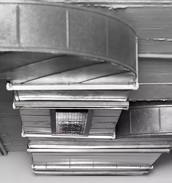 Professional Air Duct Pet Hair Removal in Cleveland Heights, OH