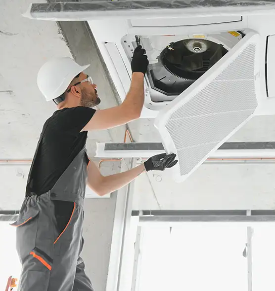 About Air Duct Rodent Removal in Cleveland Heights, OH