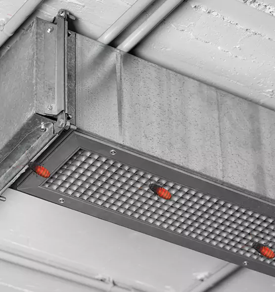 Affordable Insect Removal from Air Ducts in Cleveland Heights, OH