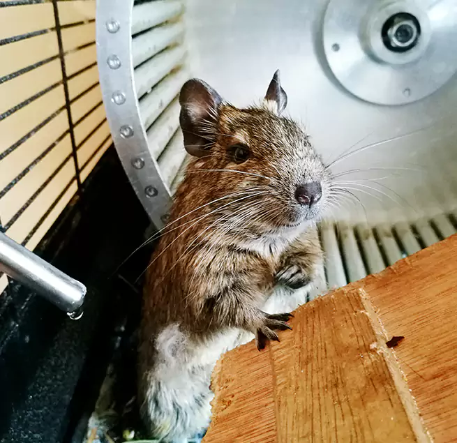 Why Homeowners & Businesses Trust Us Cleveland Heights, OH?