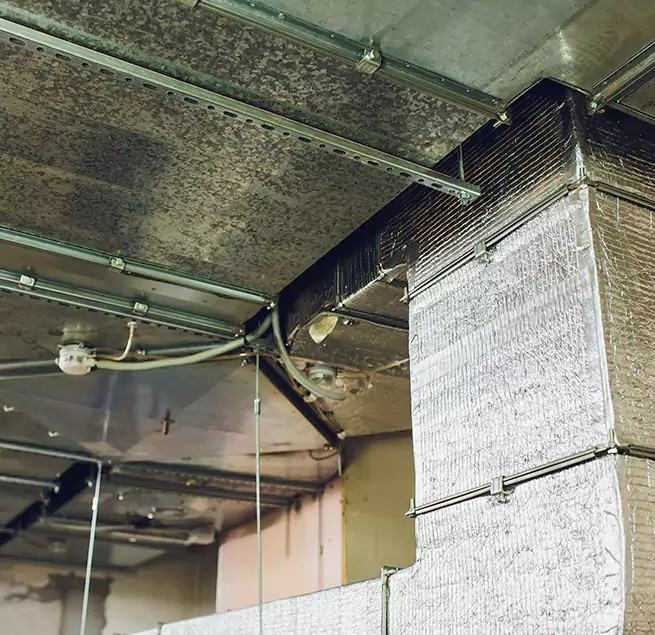 Why Homeowners & Businesses Trust Us in Cleveland Heights, OH?